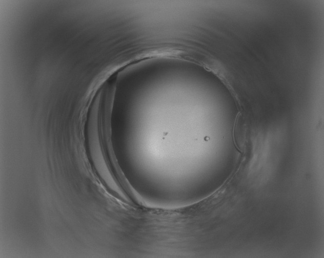 X0000051860337200506241327