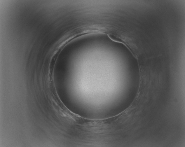 X0000051860338200506241327