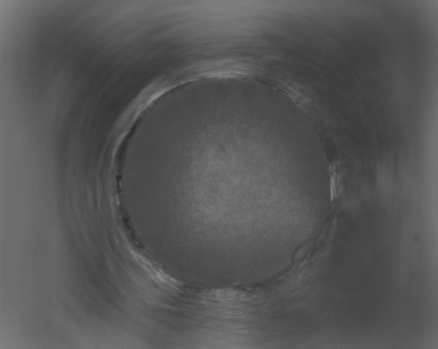 X0000051860339200506241327