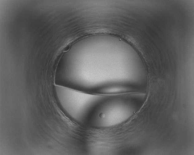 X0000051860345200506241327