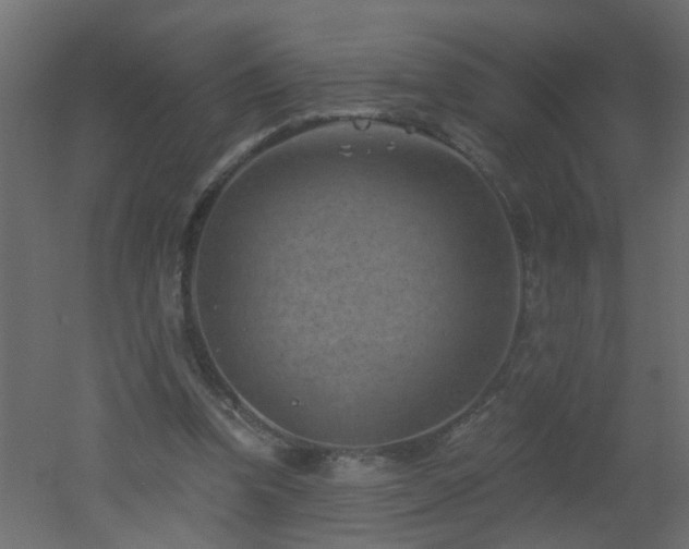 X0000051860346200506241327