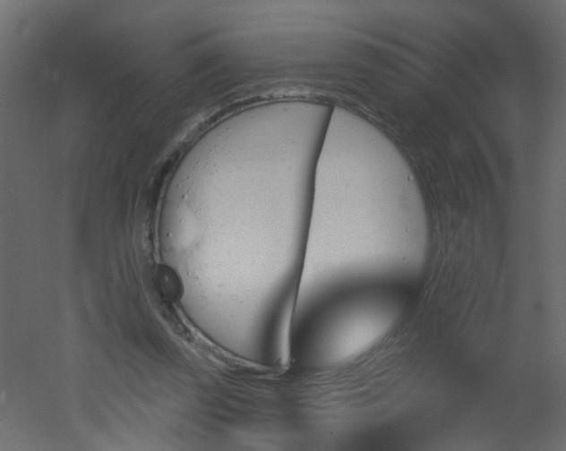 X0000051860347200506241327