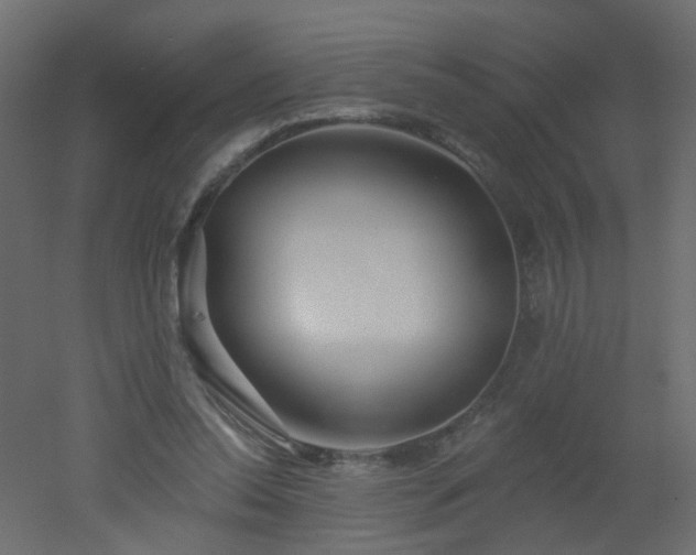 X0000051860350200506241327