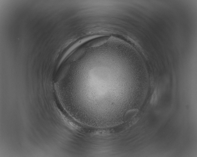 X0000051860353200506241327