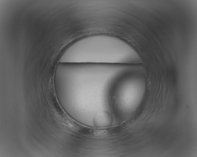 X0000051860355200506241327