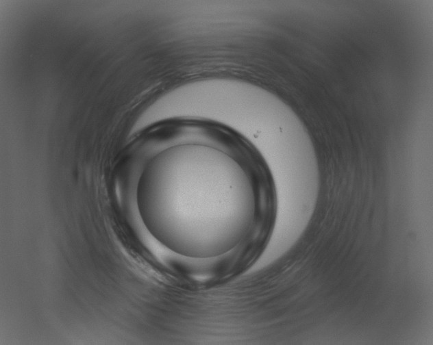 X0000051860356200506241327