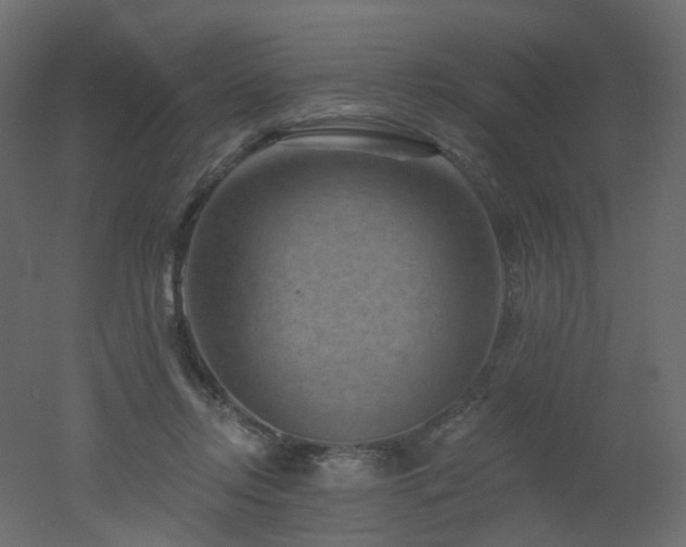 X0000051860358200506241327