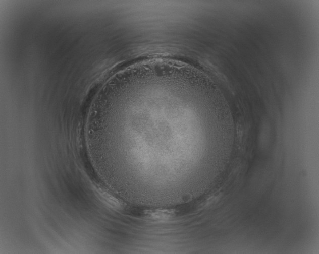 X0000051860359200506241327