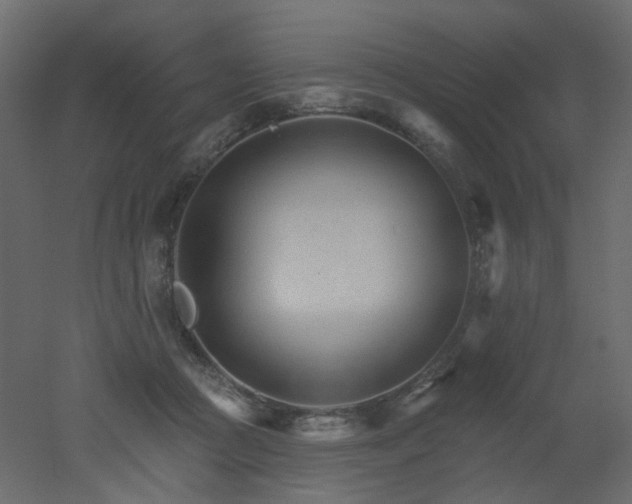 X0000051860361200506241327