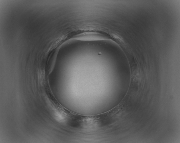 X0000051860365200506241327