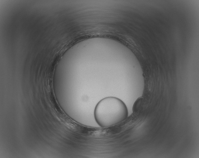 X0000051860366200506241327