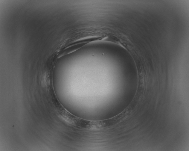 X0000051860368200506241327