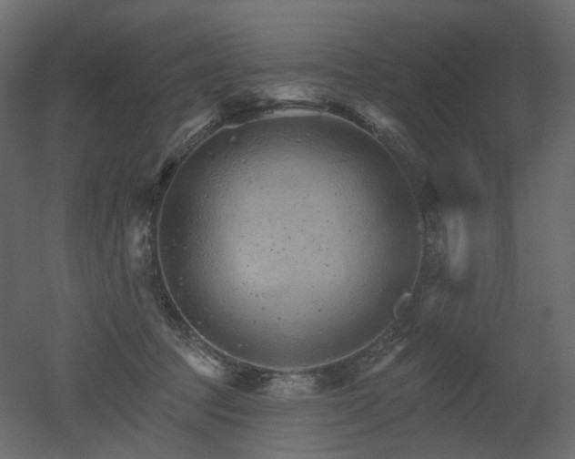 X0000051860369200506241327