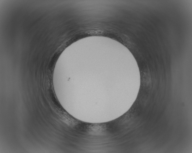 X0000051860370200506241327