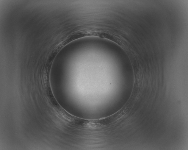 X0000051860372200506241327