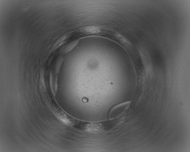 X0000051860373200506241327