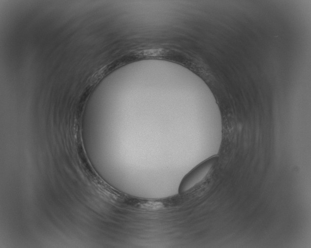 X0000051860374200506241327