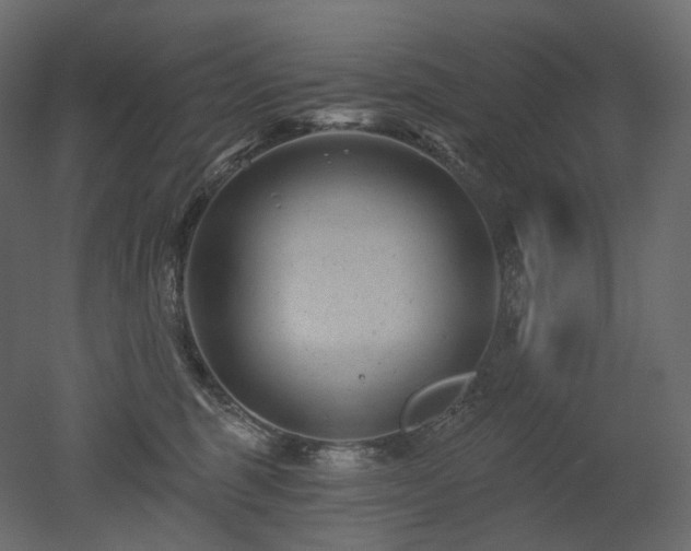 X0000051860375200506241327