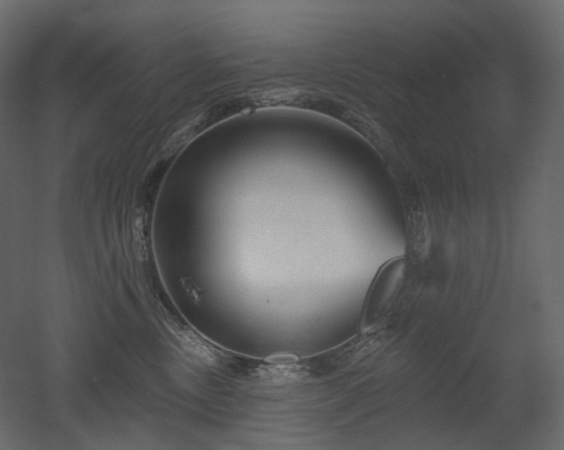 X0000051860378200506241327