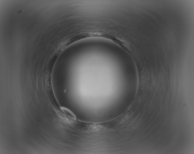 X0000051860379200506241327