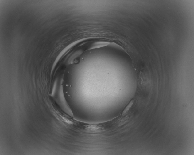 X0000051860380200506241327