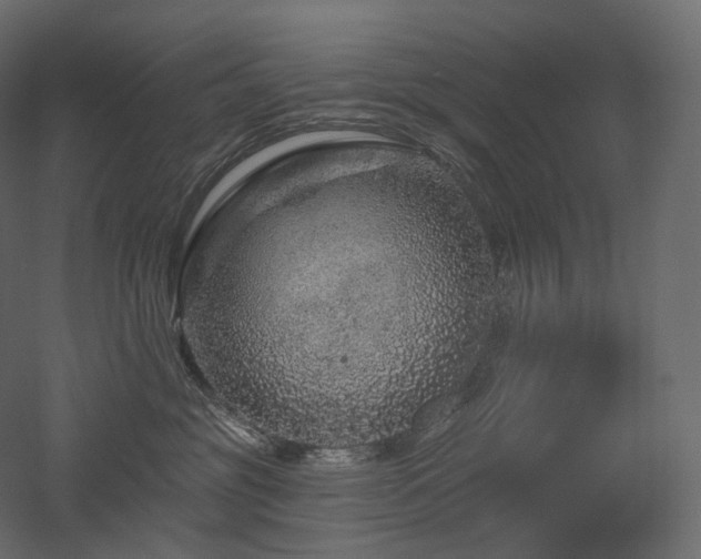 X0000051860381200506241327