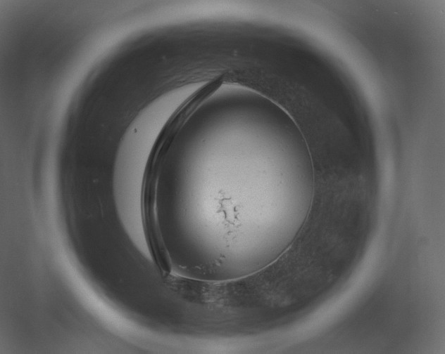 X0000051860382200506241327