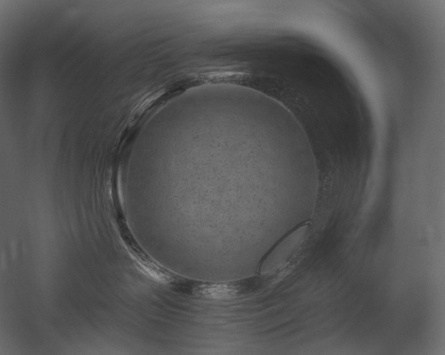 X0000051860383200506241327