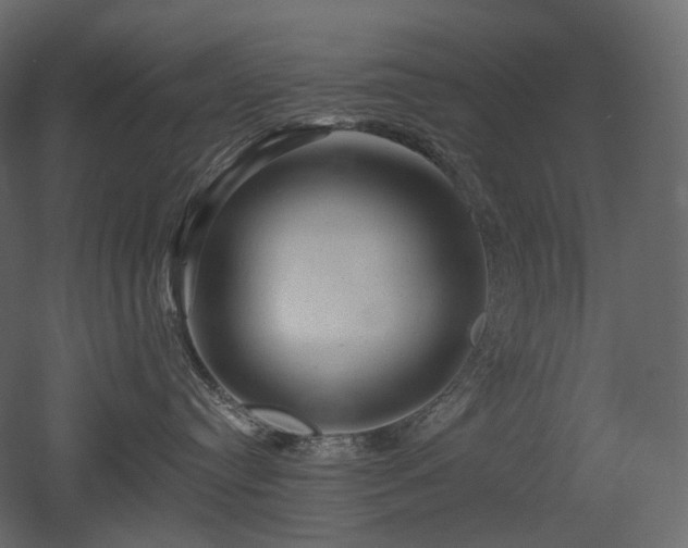 X0000051860384200506241327