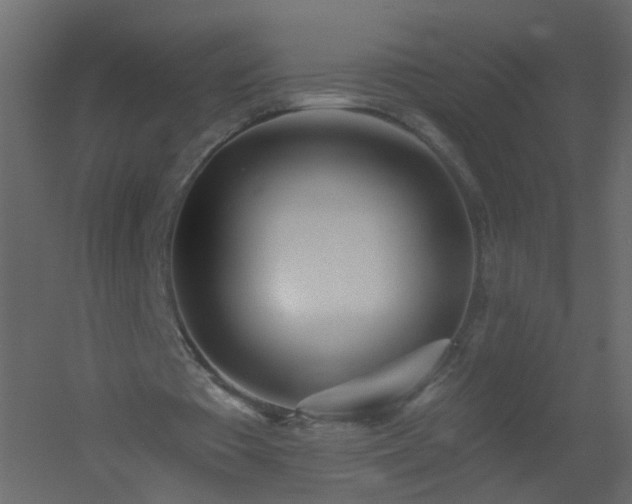 X0000051860385200506241327