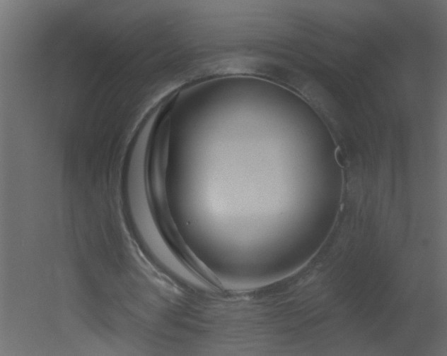 X0000051860386200506241327