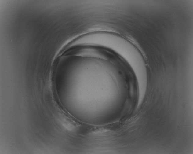 X0000051860387200506241327