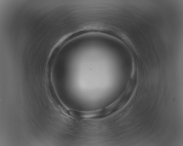 X0000051860388200506241327