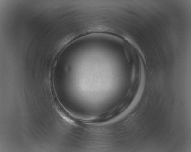 X0000051860389200506241326