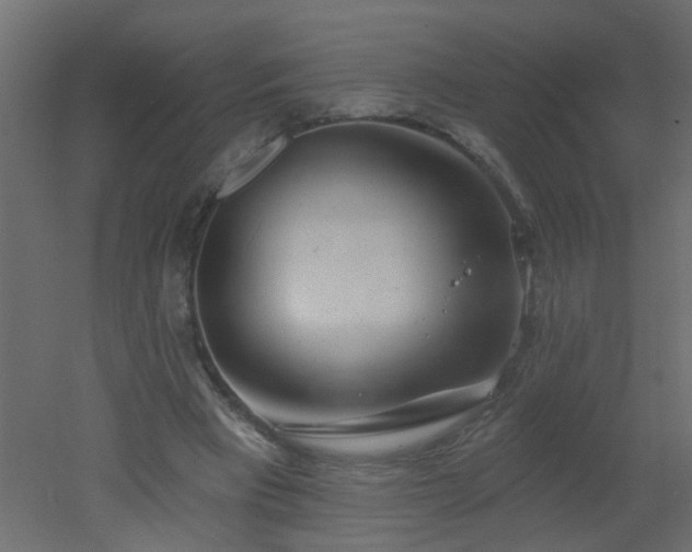 X0000051860393200506241326