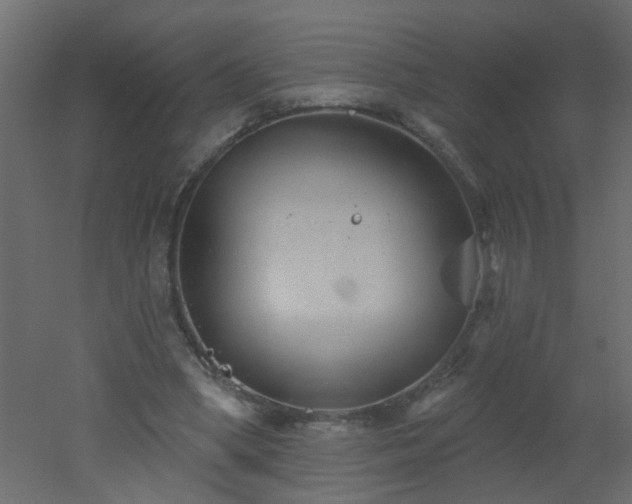 X0000051860394200506241326