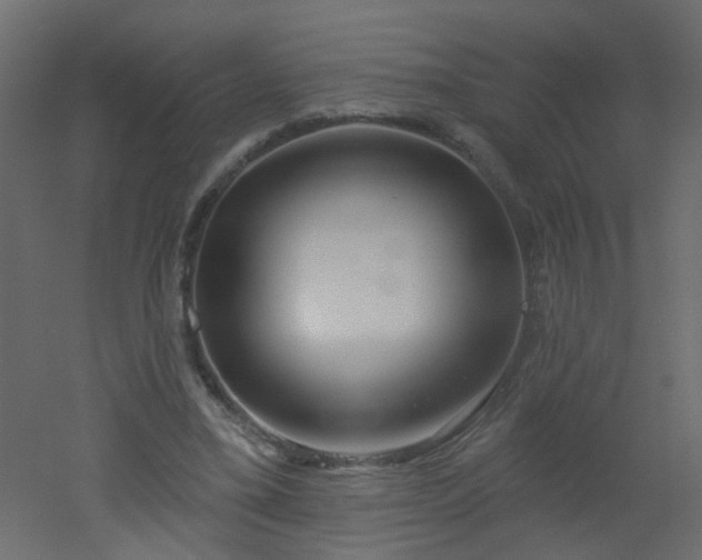 X0000051860395200506241326