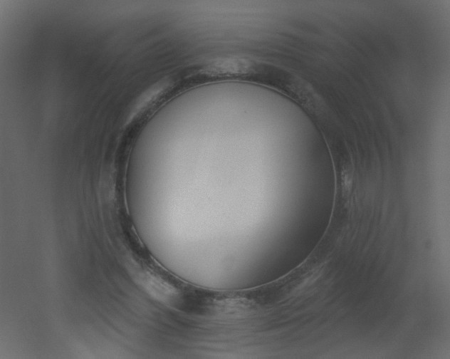 X0000051860396200506241326