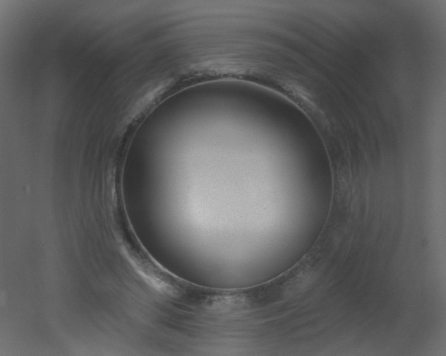 X0000051860398200506241326