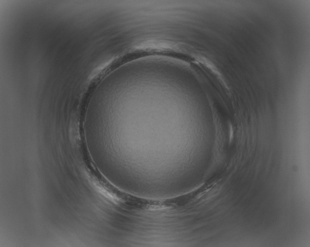 X0000051860399200506241326