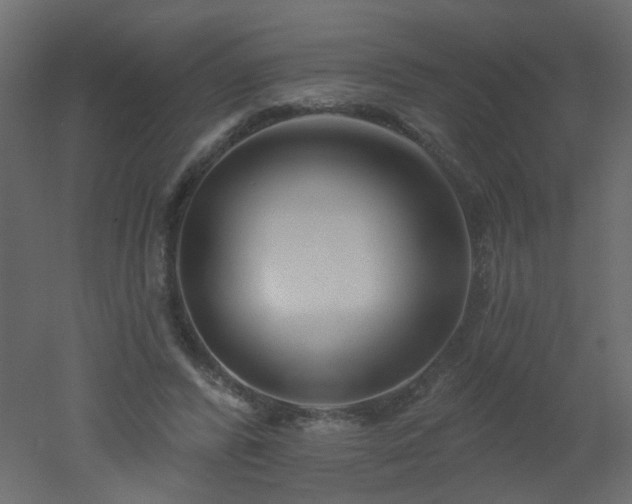 X0000051860400200506241326