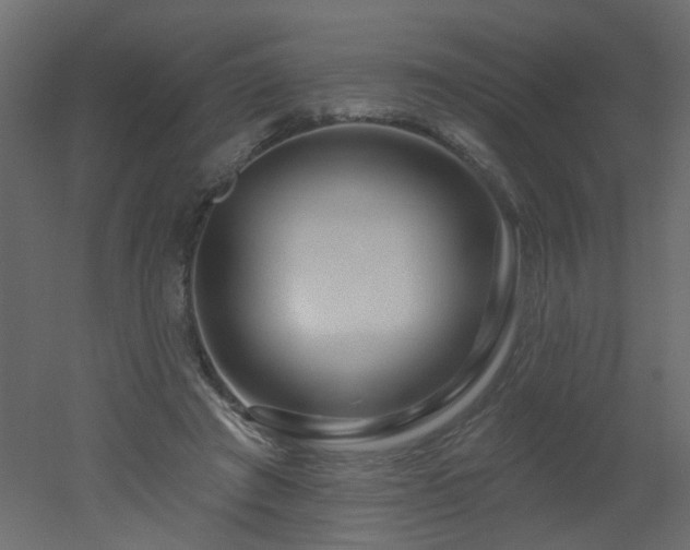 X0000051860401200506241326