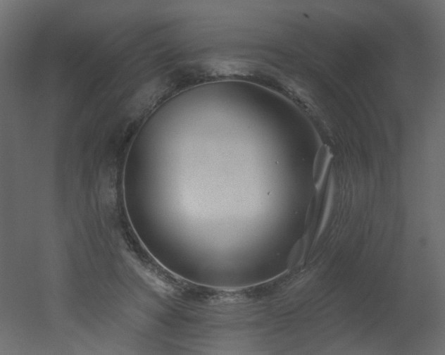 X0000051860402200506241326