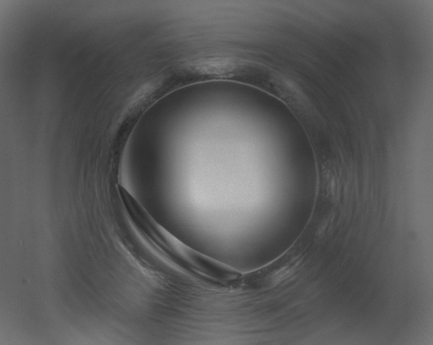 X0000051860404200506241326