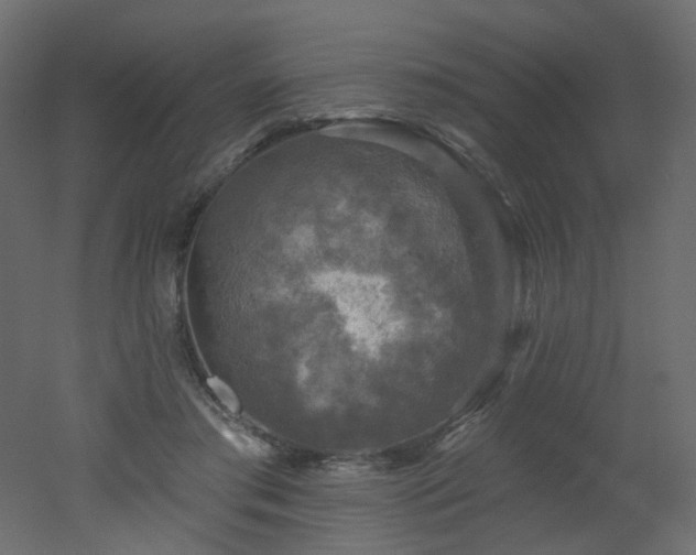 X0000051860405200506241326