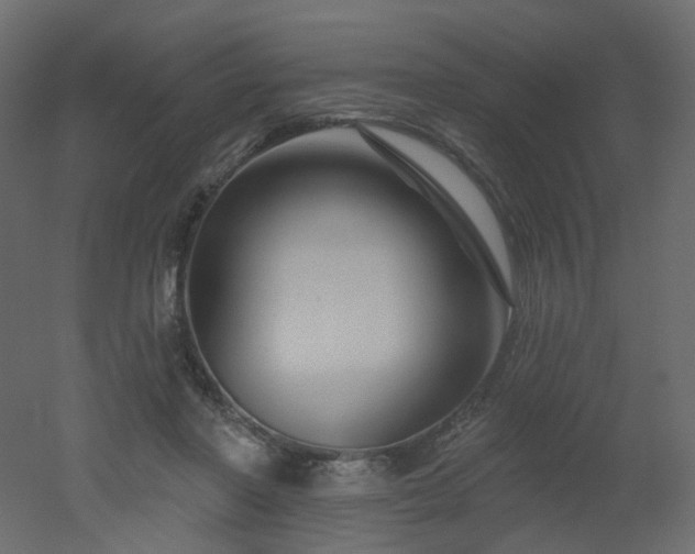 X0000051860406200506241326