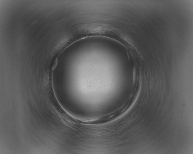 X0000051860407200506241326