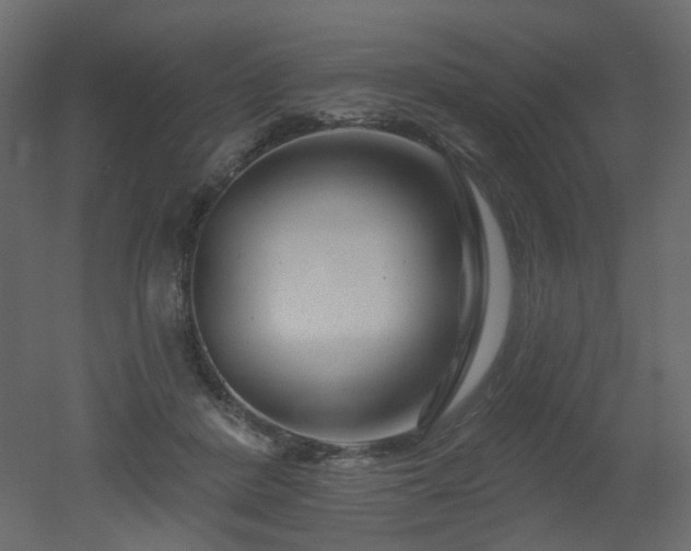 X0000051860408200506241326