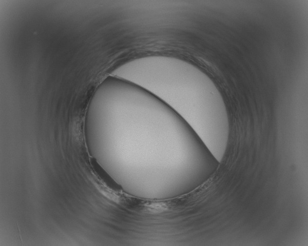 X0000051860409200506241326