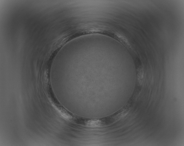 X0000051860410200506241326